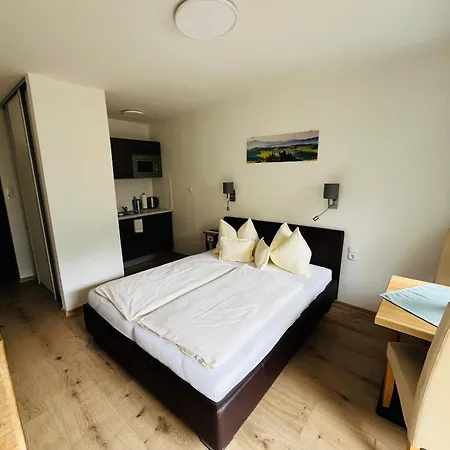 Gastein 3 Проживание в семье